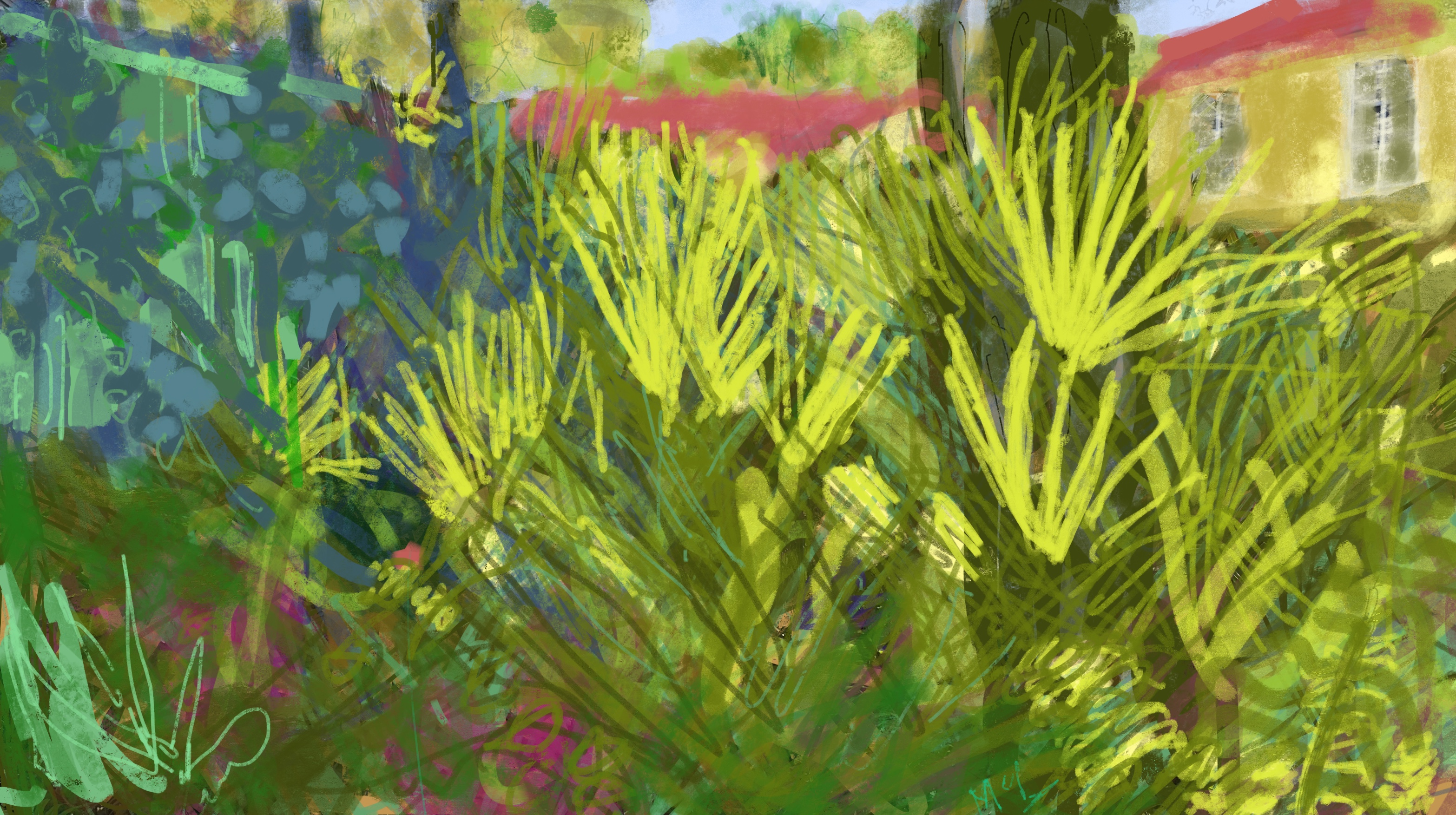 Backlit palmettos by the pool